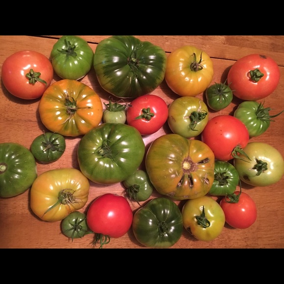 Meet your Posher, Kathleen - Picture 1 of 1